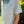 The Links Polo